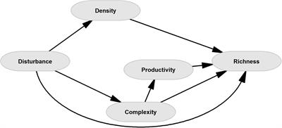 Chronic Disturbance in a Tropical Dry Forest: Disentangling Direct and Indirect Pathways Behind the Loss of Plant Richness